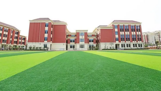 微信圖片_20240731095500 微信圖片_20240731095500